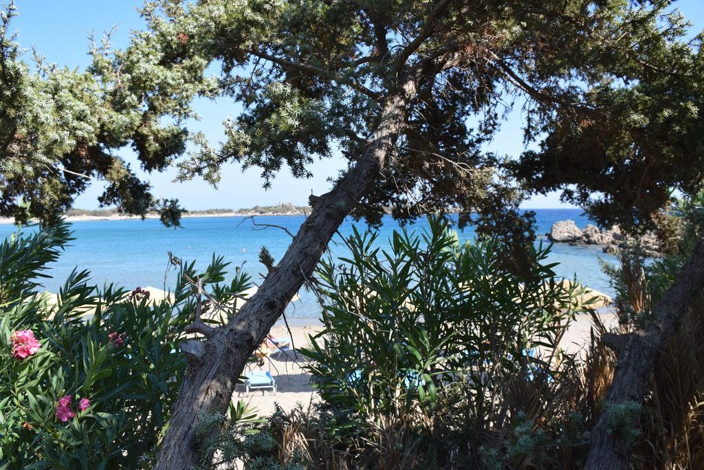 Ktima Grammeno Beachside Villa パレオコラ エクステリア 写真