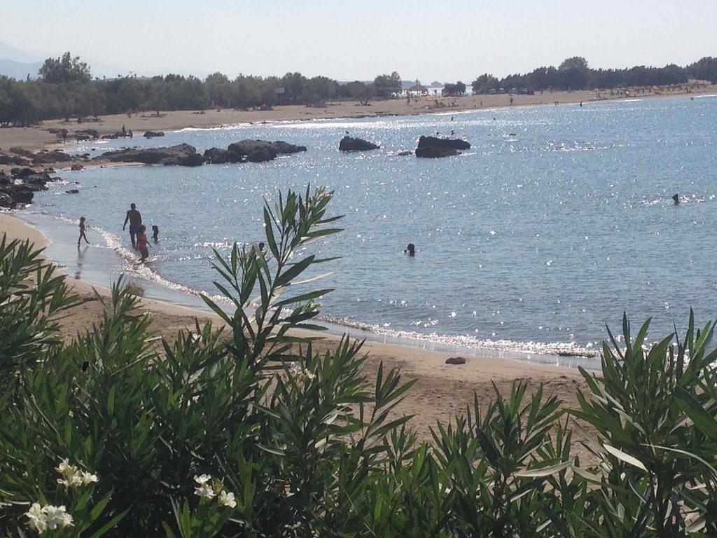 Ktima Grammeno Beachside Villa パレオコラ エクステリア 写真