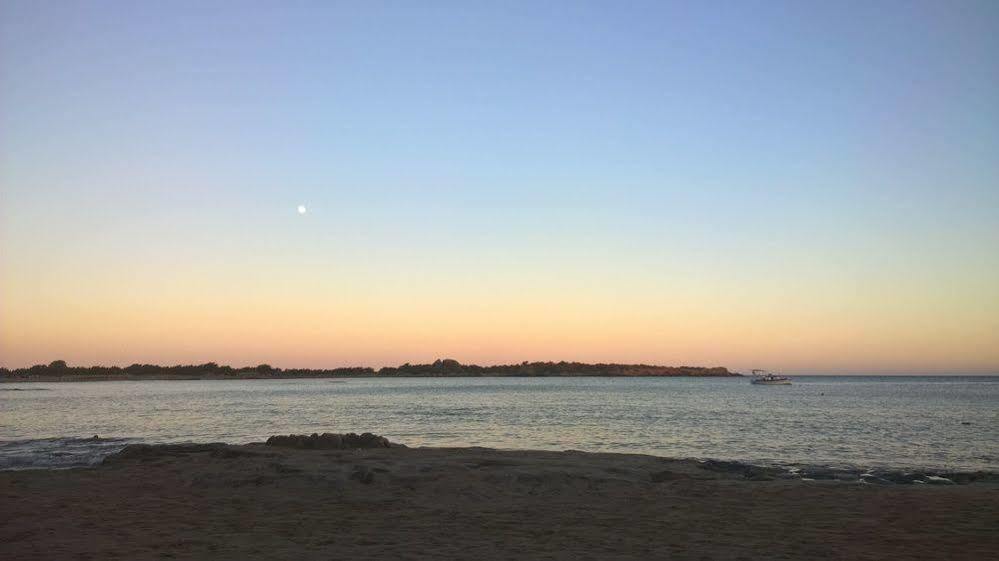 Ktima Grammeno Beachside Villa パレオコラ エクステリア 写真