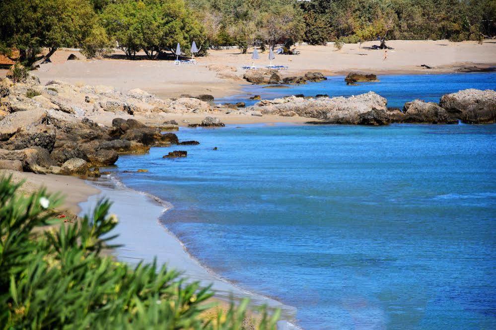 Ktima Grammeno Beachside Villa パレオコラ エクステリア 写真