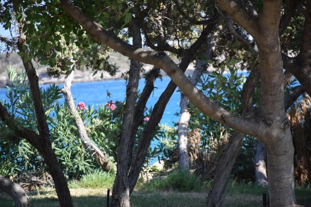 Ktima Grammeno Beachside Villa パレオコラ エクステリア 写真